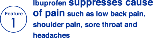 Feature 1 Ibuprofen suppressescause of pain such as low back pain, shoulder pain, sore throat and headaches
