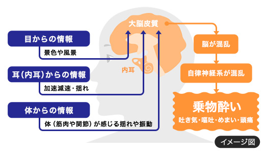 乗り物酔いの原因とは アネロン エスエス製薬