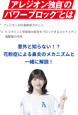 アレジオン独自のパワーブロックとは？