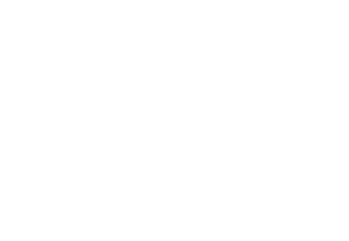 空で居眠りペガサス
