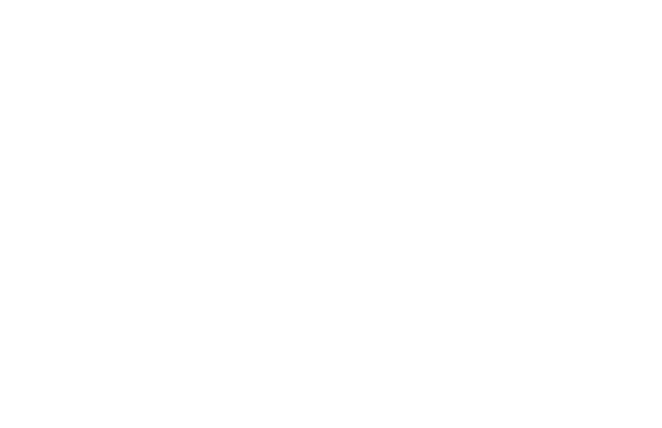 おおねぼけドラゴン