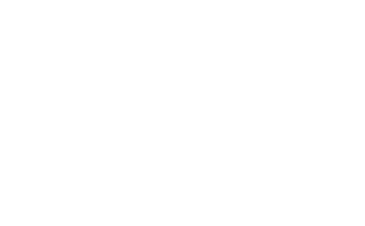 意識フラインググリフォン