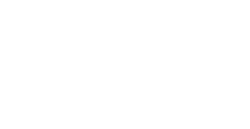 うわの空フェニックス