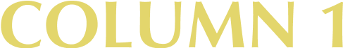 COLUMN 1