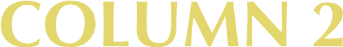 COLUMN 2