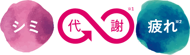 図：代謝を助けるアミノ酸・L-システイン