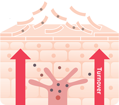 mechanism03 image