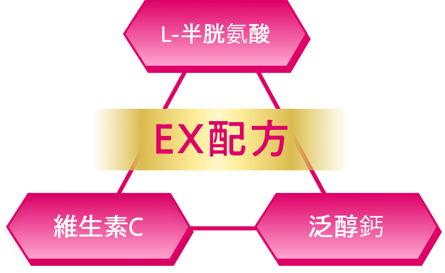 L-半胱氨酸 EX配方 維生素C 泛醇鈣