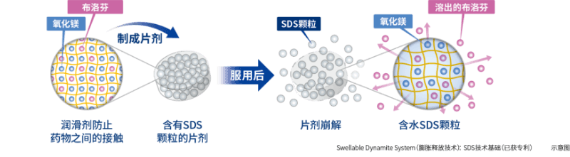 Swellable Dynamite System（膨胀释放技术）：SDS技术基础（已获专利） 示意图
