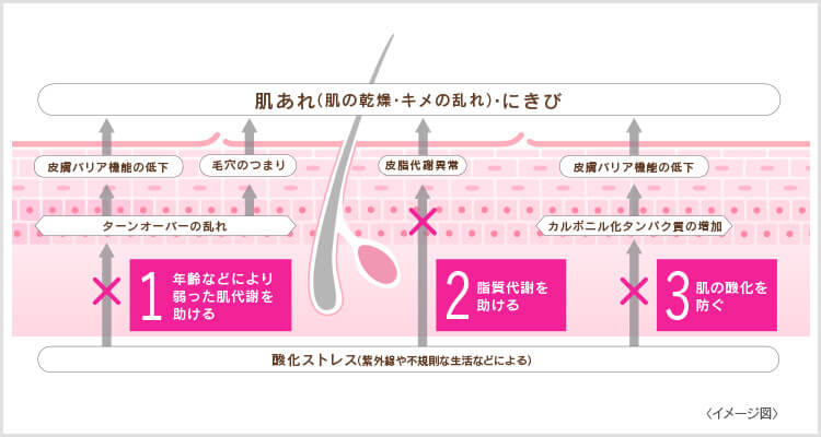 ハイチオールBクリアの働き