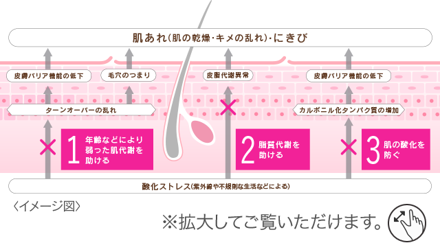 ハイチオールBクリアの働き