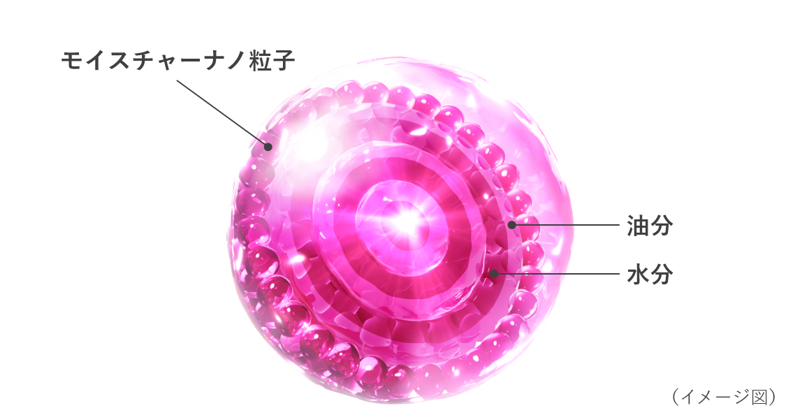 モイスチャーナノ粒子 油分 水分 三相球状ラメラ（イメージ図）