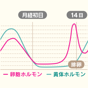 生理前はニキビができやすい？