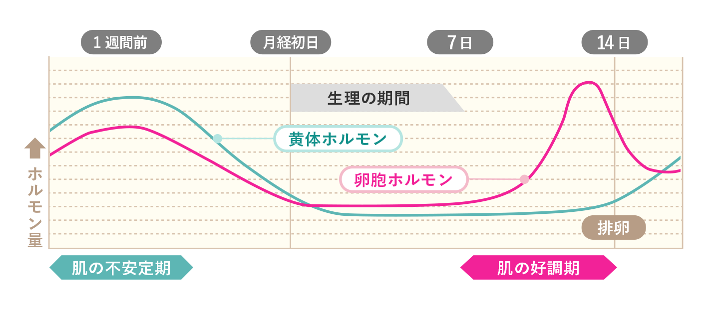 ホルモンバランスの不調と肌荒れの関係 ハイチオール エスエス製薬