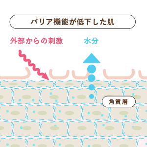 バリア機能の低下