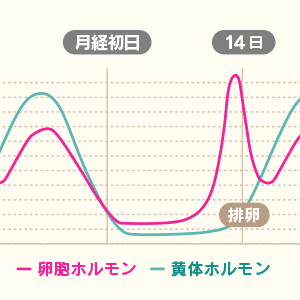 ホルモンバランスの不調