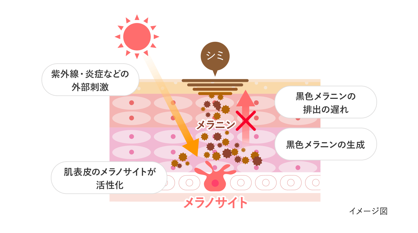 ニベア 方法 顔 の シミ 消す を