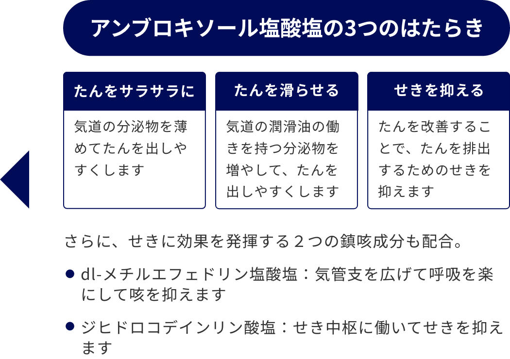 アンブロキソール塩酸塩の3つのはたらき【たんをさらさらに：気道の分泌物を薄めてたんを出しやすくします】【たんを滑らせる：気道の潤滑油の働きを持つ分泌物を増やして、たんを出しやすくします】【せきを抑える：たんを改善することで、たんを排出するためのせきを抑えます】さらに、せきに効果を発揮する２つの鎮咳成分も配合。dl-メチルエフェドリン塩酸塩：気管支を広げて呼吸を楽にして咳を抑えます。ジヒドロコデインリン酸塩：せき中枢に働いてせきを抑えます。