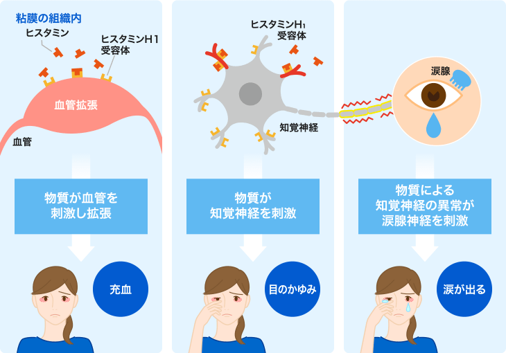 粘膜の組織内