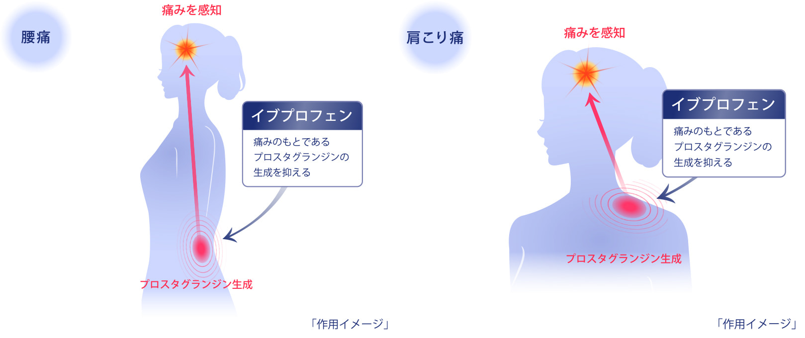 製品特長1の作用イメージ図