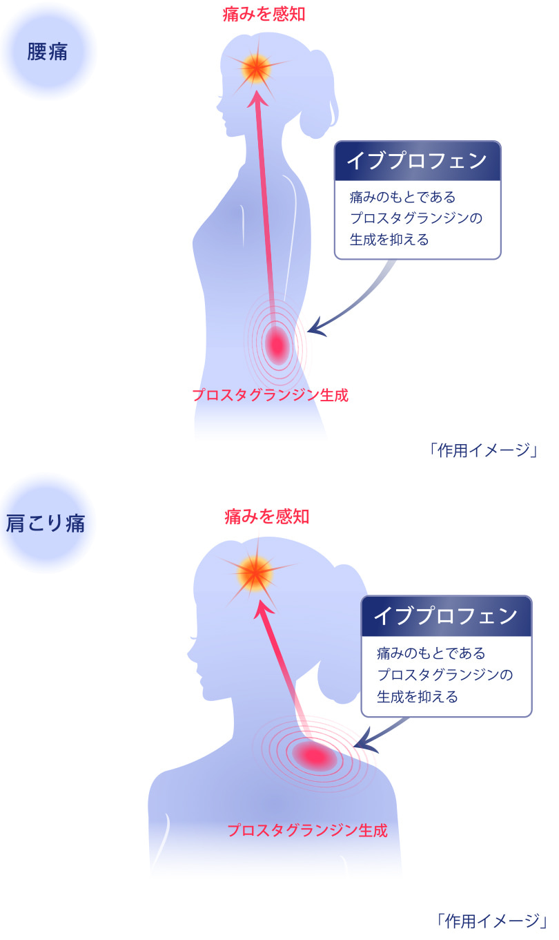 製品特長1の作用イメージ図