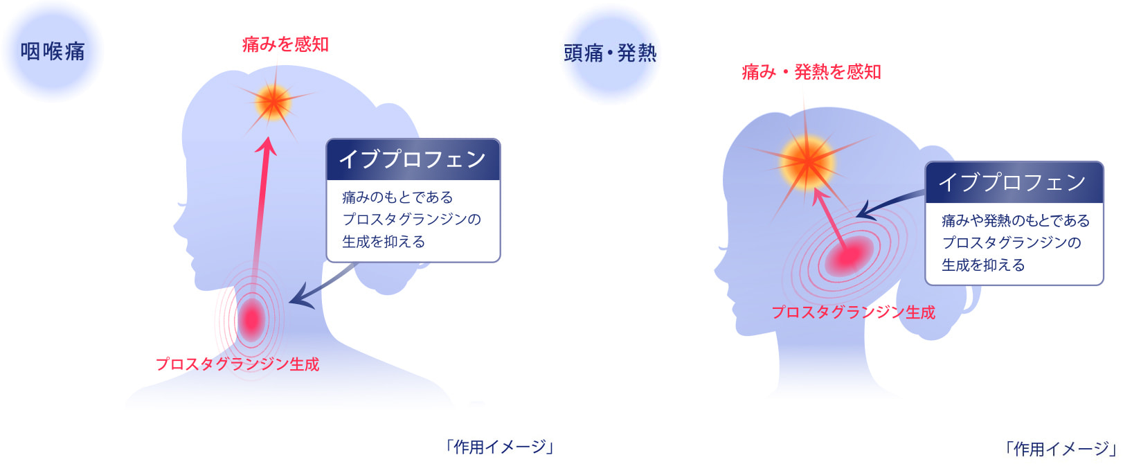 製品特長1の作用イメージ図