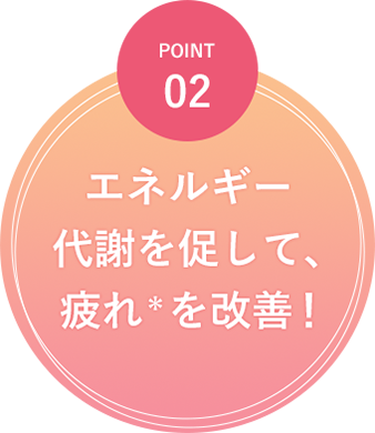 POINT02 エネルギー代謝を促して、疲れ＊を改善！