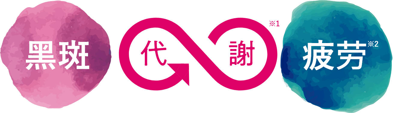 黑斑 代谢※1 疲劳※2