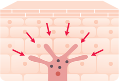 mechanism01 image