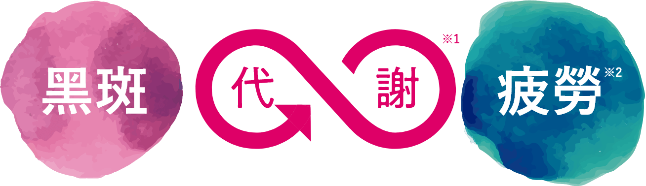 黑斑 代謝※1 疲勞※2